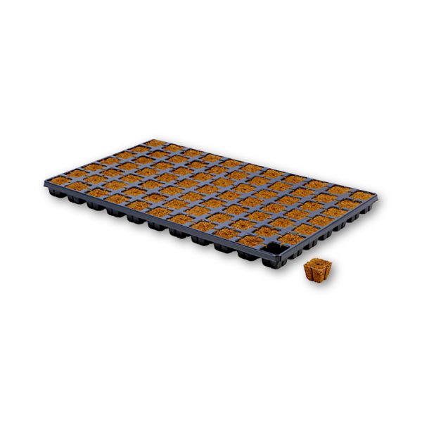 Eazy Plug Organic Propagation Cubes