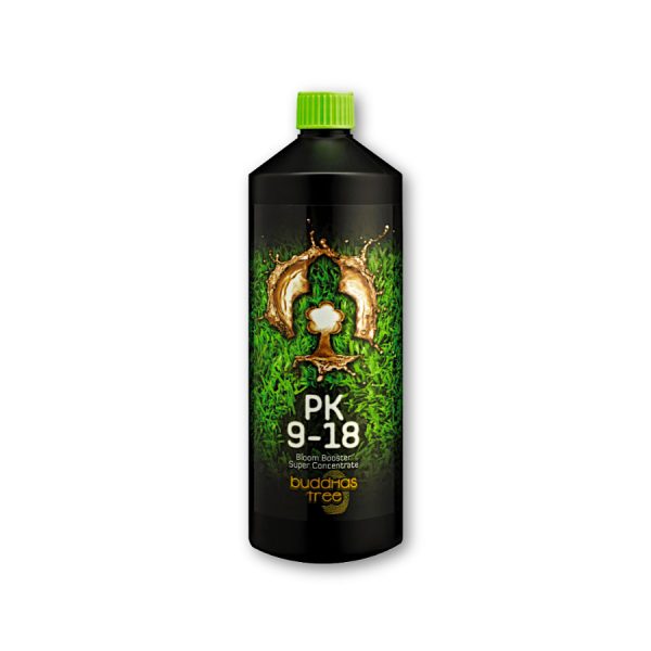 Buddhas Tree PK 9-18