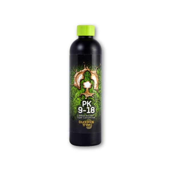 Buddhas Tree PK 9-18