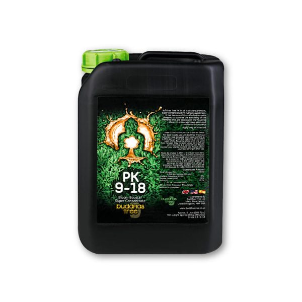 Buddhas Tree PK 9-18