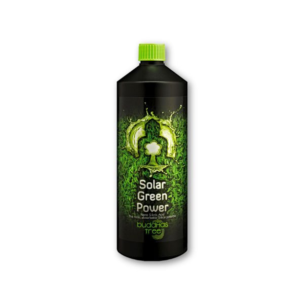 Buddhas Tree Solar Green Power
