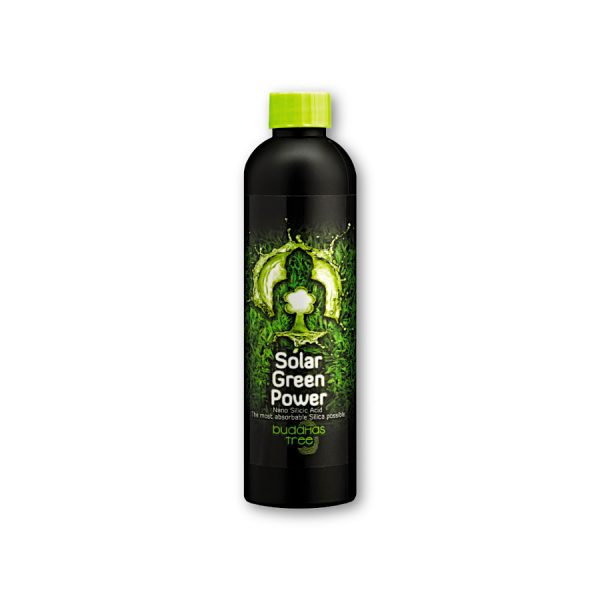 Buddhas Tree Solar Green Power