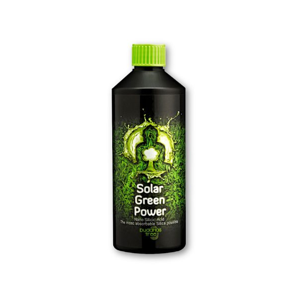 Buddhas Tree Solar Green Power