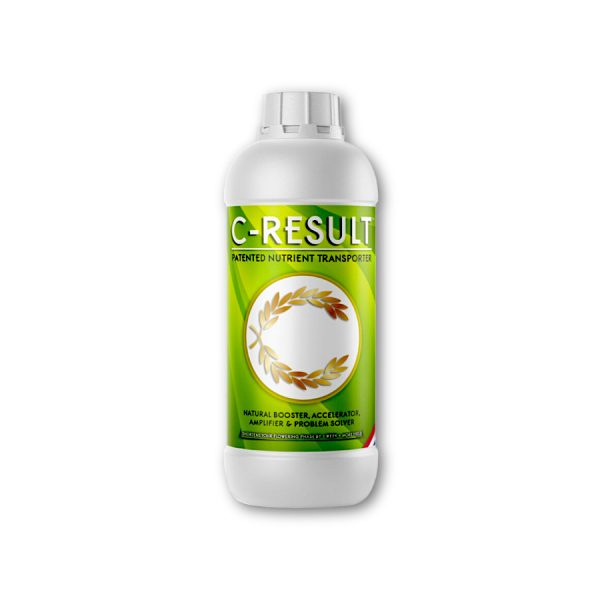 C-Result