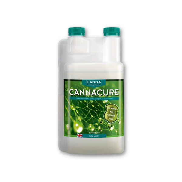 Canna Cannacure