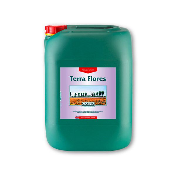 Canna Terra Flores