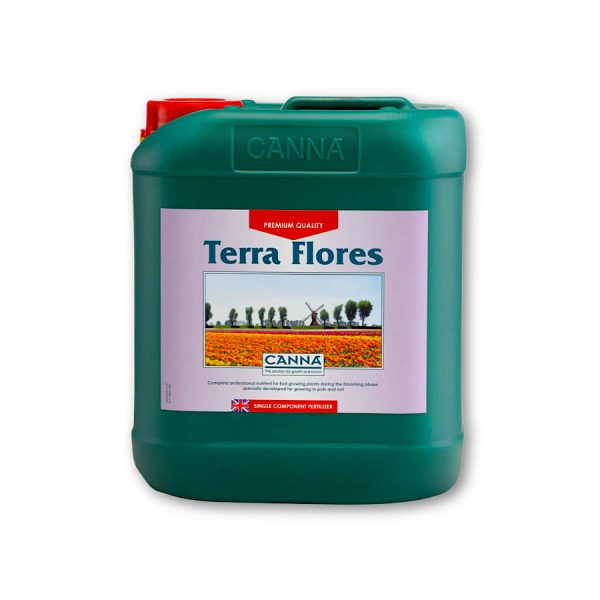 Canna Terra Flores