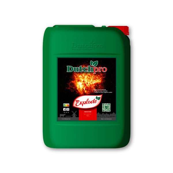 Dutch Pro Explode