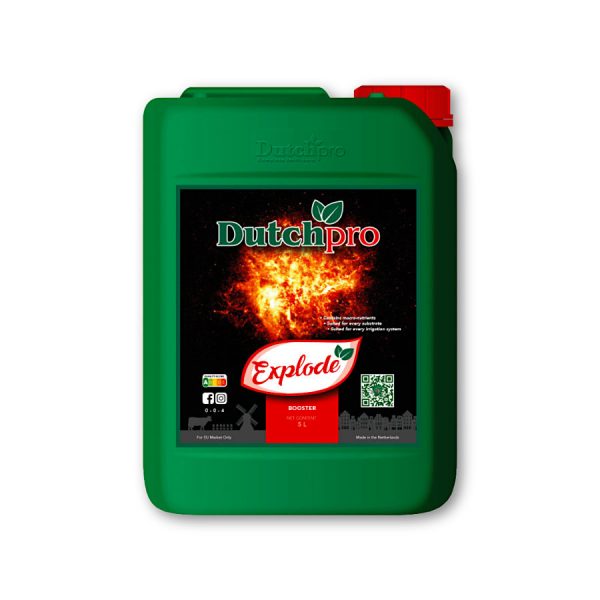 Dutch Pro Explode