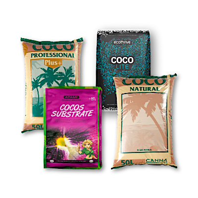 Coco