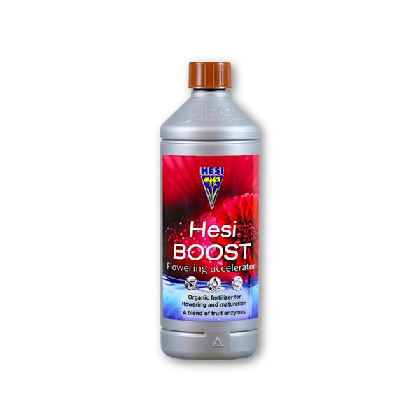 Hesi Boost