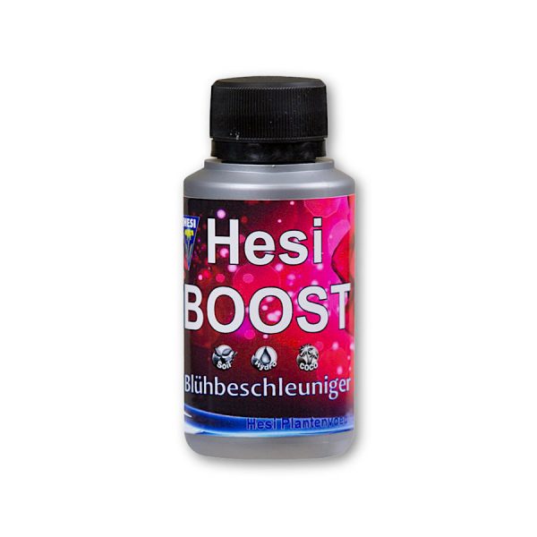Hesi Boost