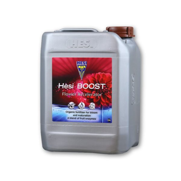 Hesi Boost