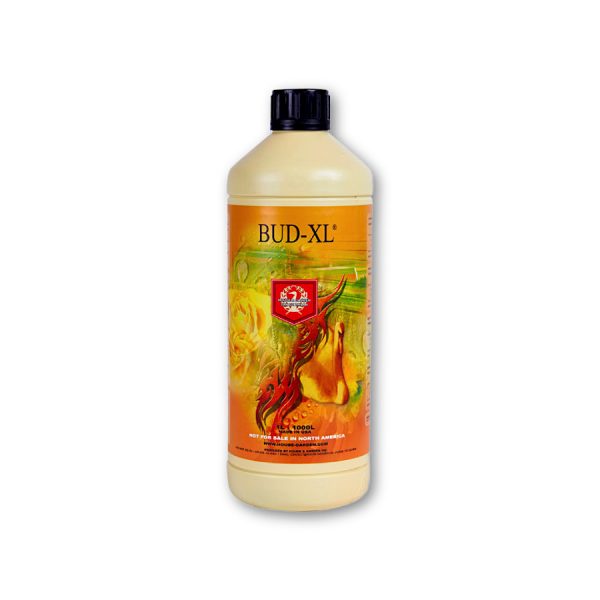 House & Garden Bud XL