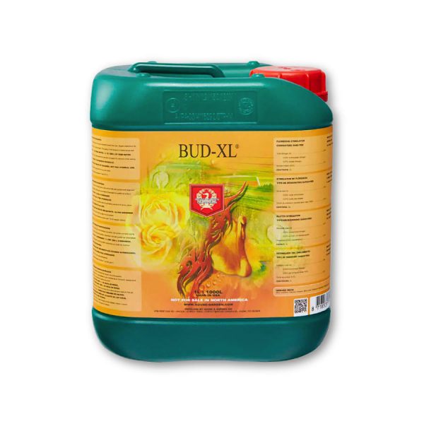House & Garden Bud XL