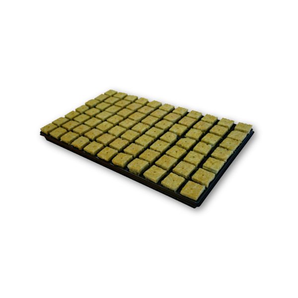 Grodan SBS Propagator Cubes