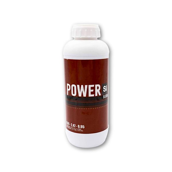 Power Si Bloom