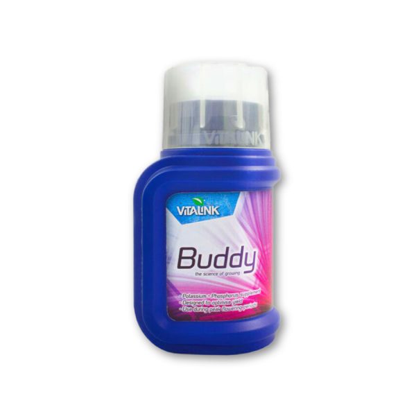 Vitalink Buddy