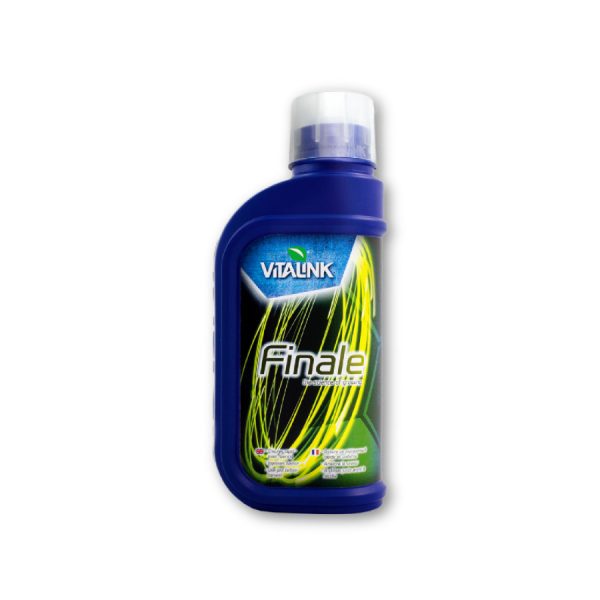 Vitalink Finale
