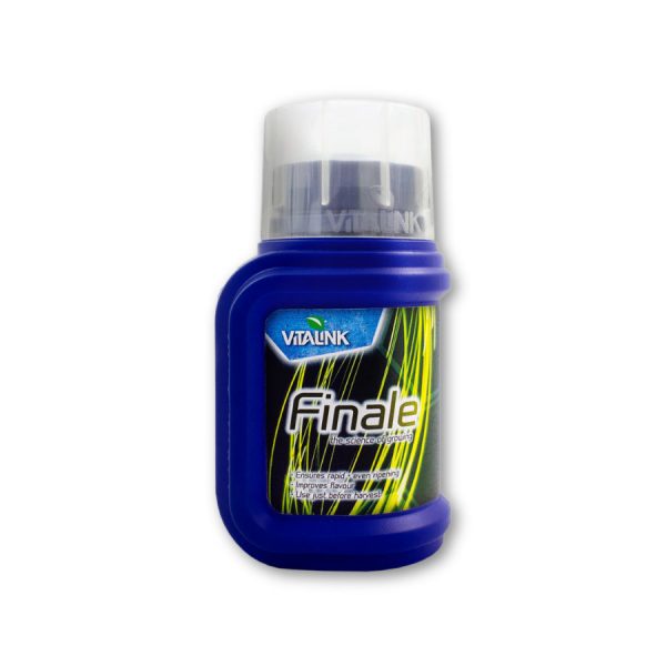 Vitalink Finale
