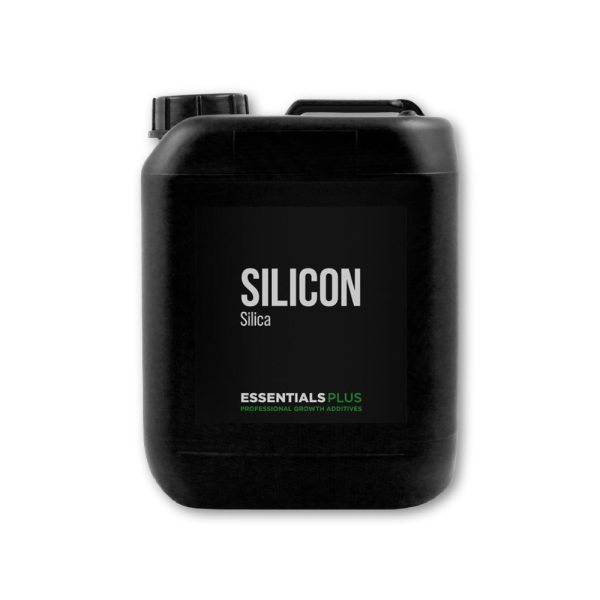 Essentials Plus Silicon