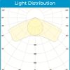 DLI Apex Series Toplight 800 FS DC - Image 2